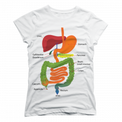 digestive system t shirts